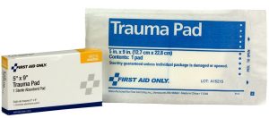 GAUZE COMPRESS, ABSORBENT BX/1