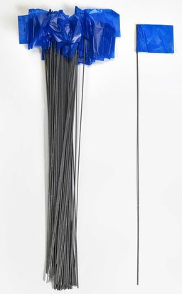 FLAG, SURVEY BLUE PK 100