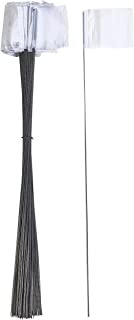 FLAG, SURVEY WHITE PK 100