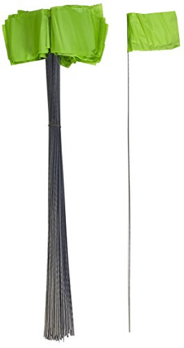FLAG, SURVEY GREEN PK 100